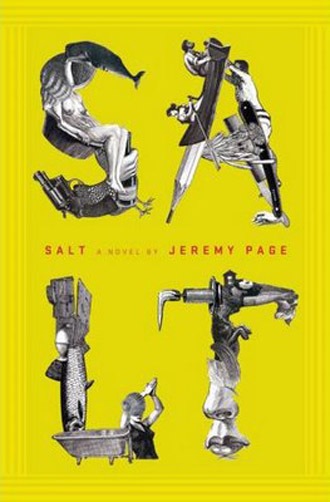 salt1 50 Inspiring Book Cover Designs 