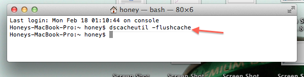 Max-OSx-dns-cache-terminal2