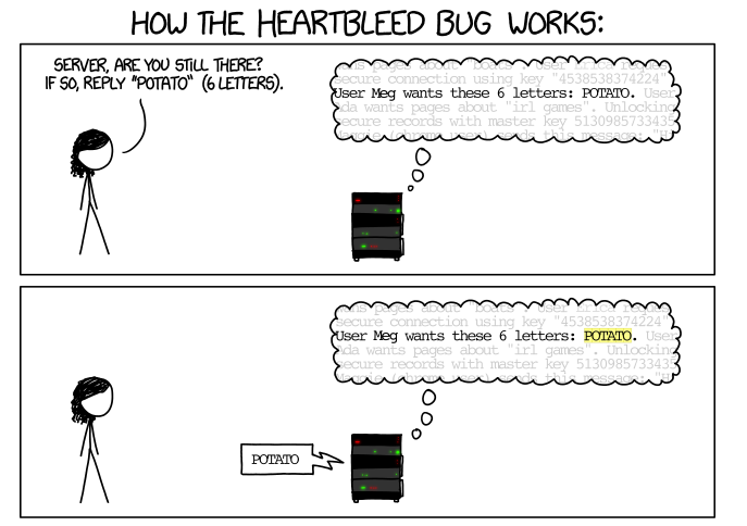 3 Tips To Save Your Website From Heartbleed Bug | Honeytech Blog