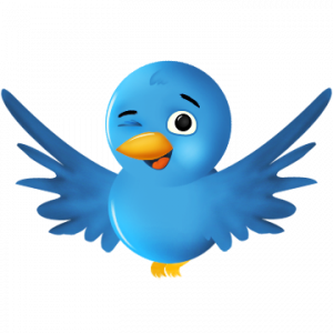 Twitter List  Twitter’s List Feature Is Now Live 