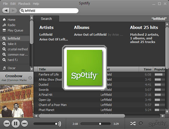spotify Lady Earns $167 By Music Streaming On Spotify