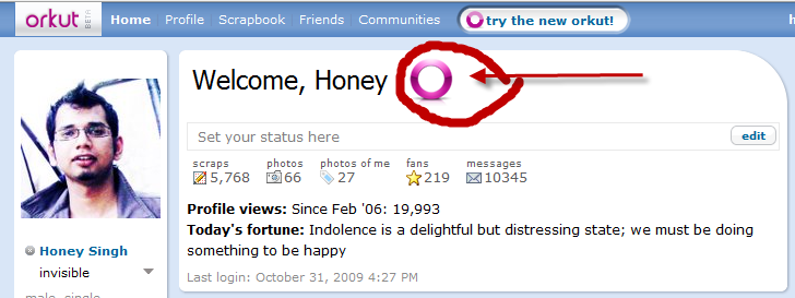 new orkut bubble